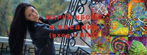 хмурый Алексин