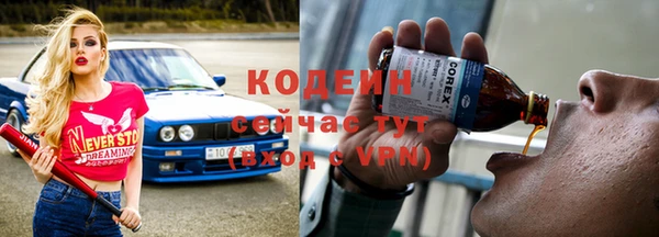 хмурый Алексин