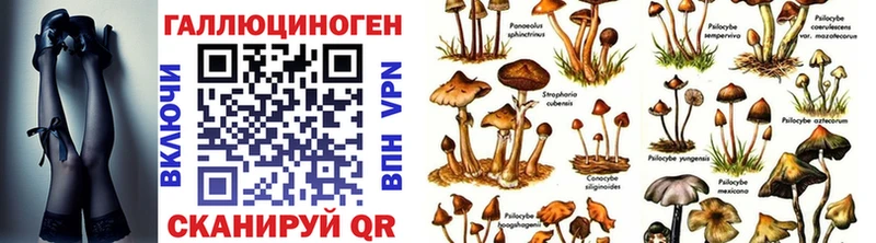Галлюциногенные грибы прущие грибы  Перевоз 